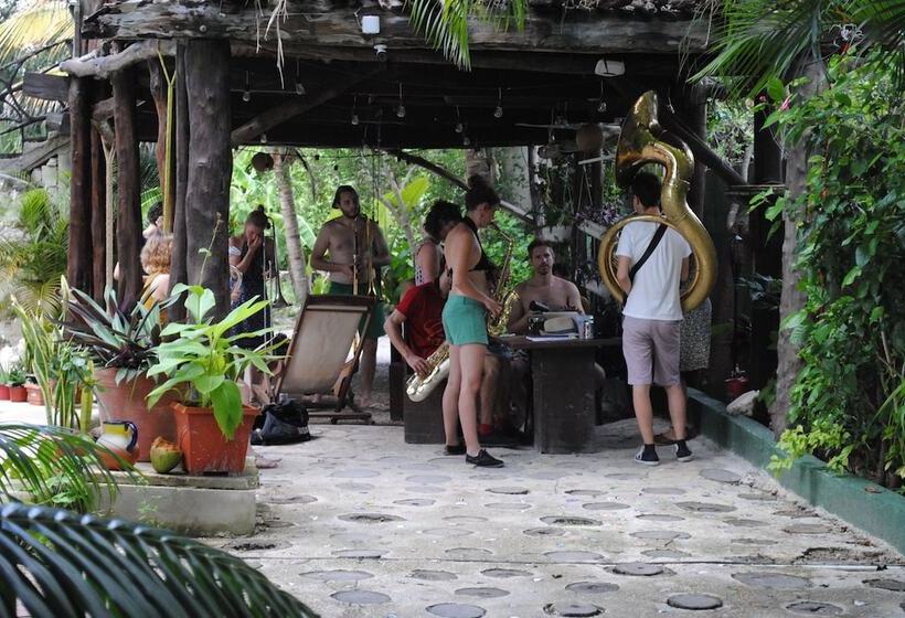 בית מלון כפרי Lobo Inn   Hostel