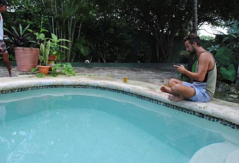 בית מלון כפרי Lobo Inn   Hostel