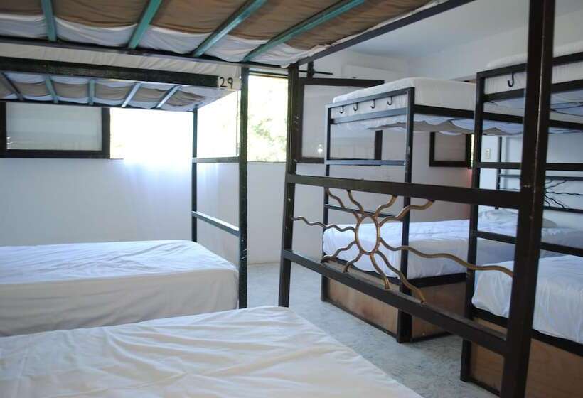 בית מלון כפרי Lobo Inn   Hostel