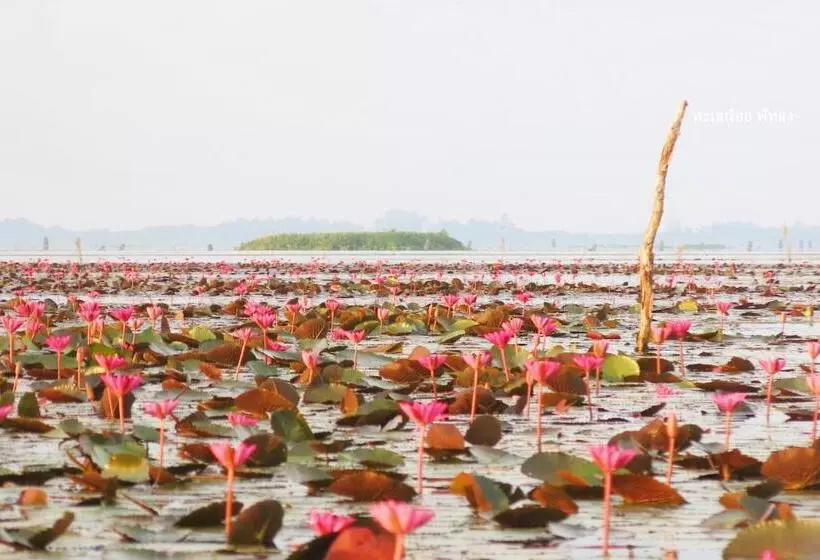 リゾートホテル Banpak Suankaew Talaynoi