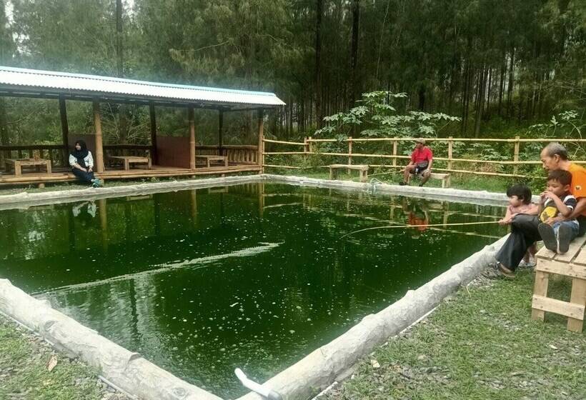 민박 Istana Bromo Resort