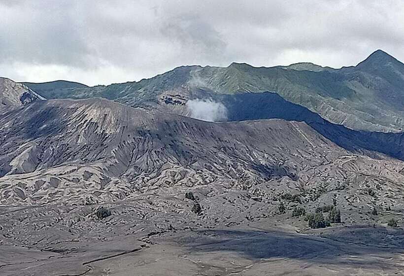 민박 Istana Bromo Resort