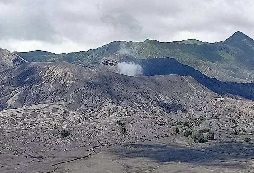 Aamiaismajoitus (B&B) Istana Bromo Resort