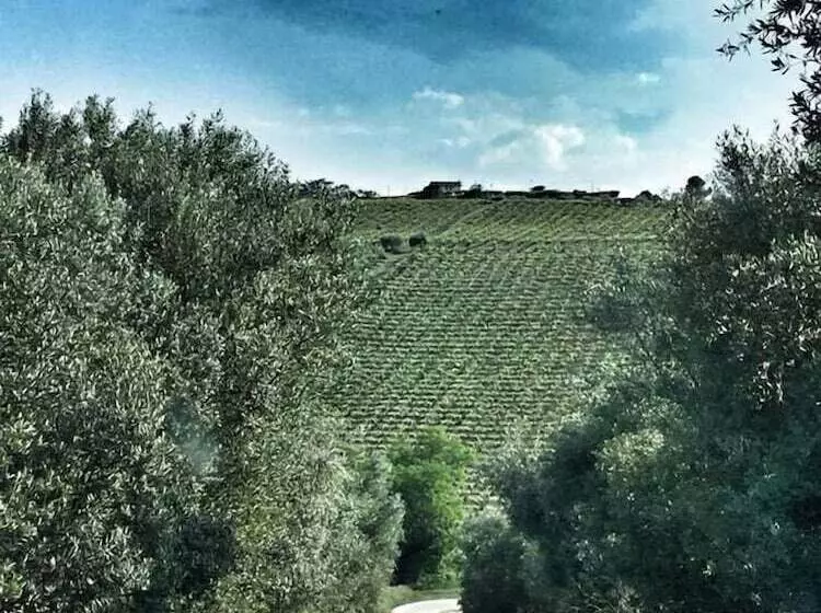 簡易ホテル Osteria B&b Il Barcollo