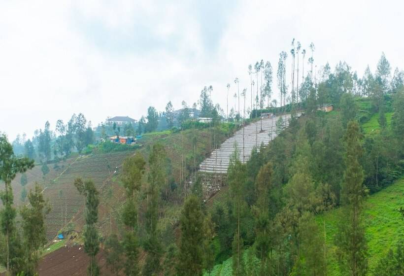 Otel Anugrah Bromo Homestay By Oyo Rooms