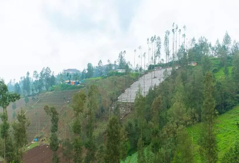 Hotelli Anugrah Bromo Homestay By Oyo Rooms