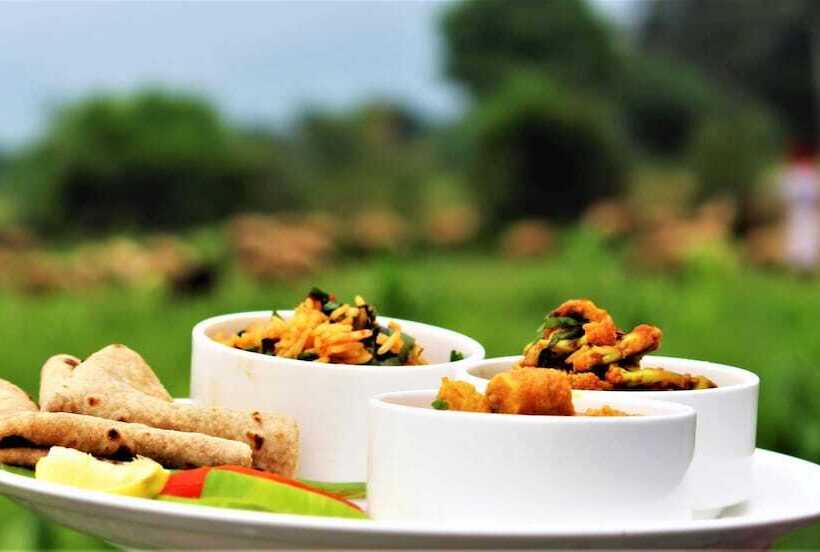 בית מלון כפרי Aravali Nature Luxury Camp