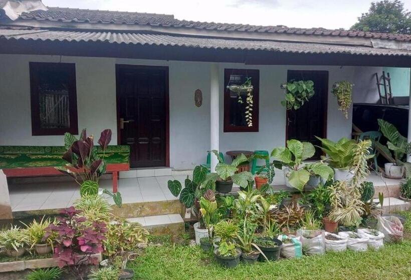 酒店 Homestay Wijaya Mulya