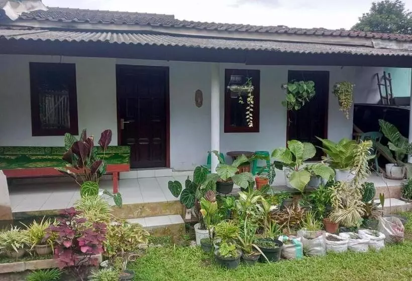 هتل Homestay Wijaya Mulya