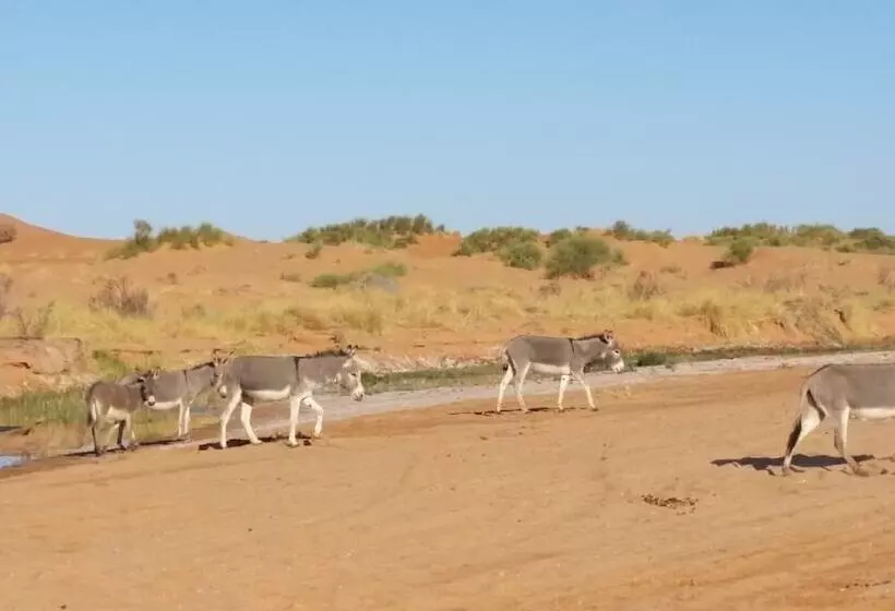 Hotelli Morocco Deluxe Camp Assif N Itrane