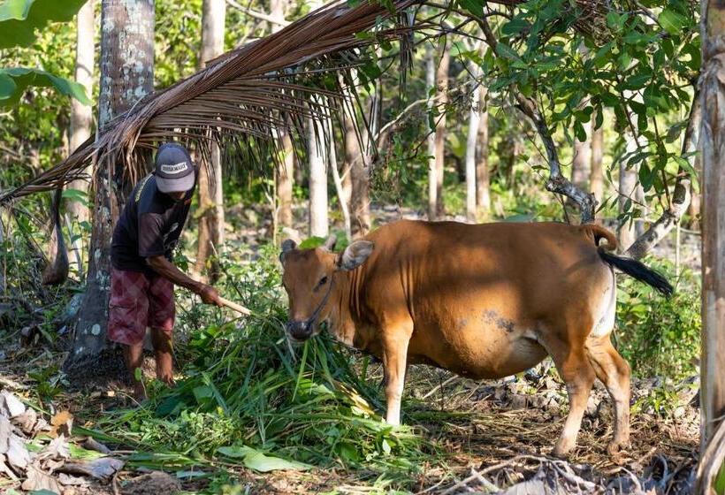 호텔 Ng Sweet Home