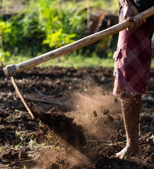 호텔 Ng Sweet Home