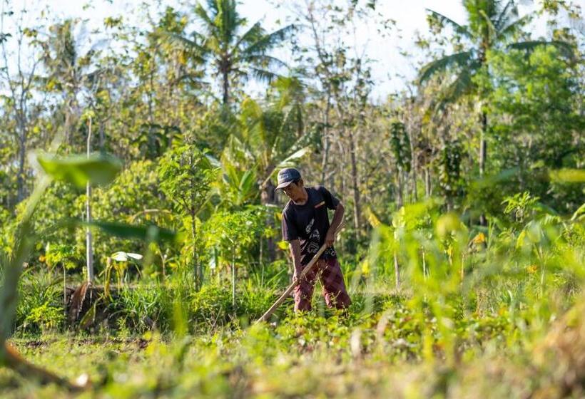 호텔 Ng Sweet Home