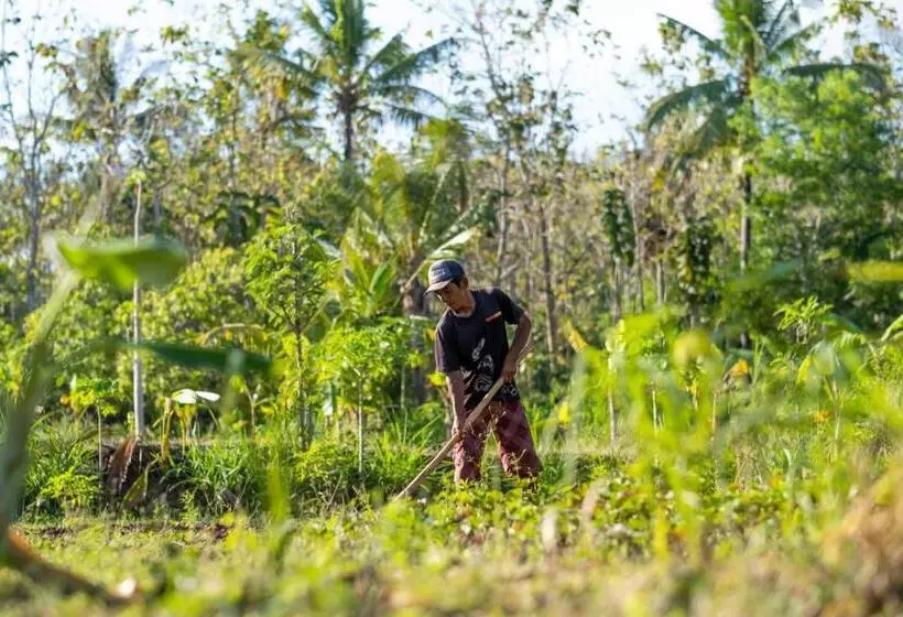 Hotelli Ng Sweet Home
