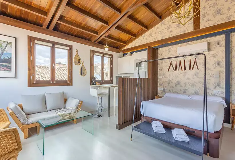 Apartamentos Realejo Granada Centro 3000