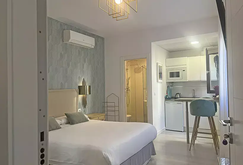 Apartamentos Realejo Granada Centro 3000