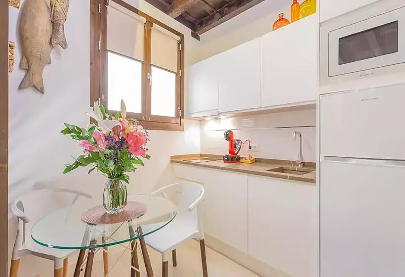 Apartamentos Realejo Granada Centro 3000