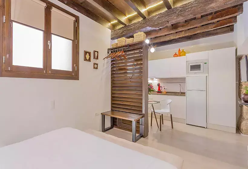 Apartamentos Realejo Granada Centro 3000