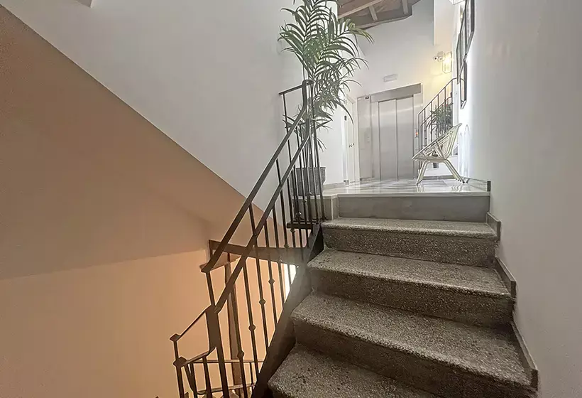 Apartamentos Realejo Granada Centro 3000