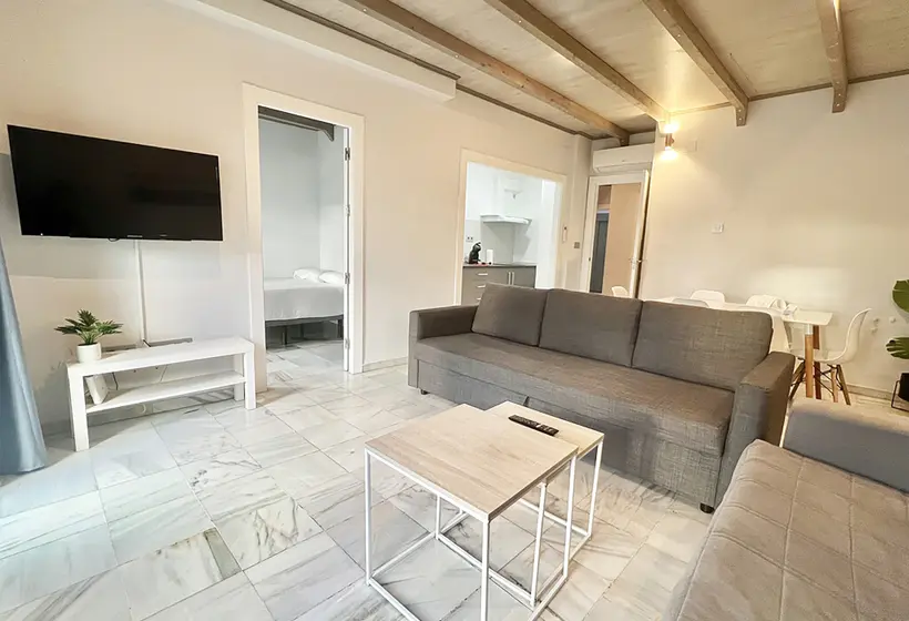 Apartamentos Realejo Granada Centro 3000