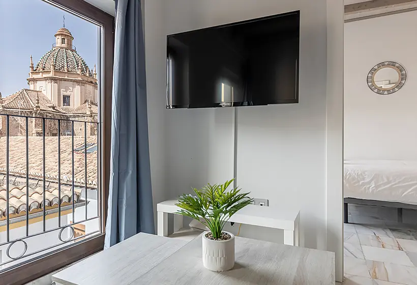 Apartamentos Realejo Granada Centro 3000