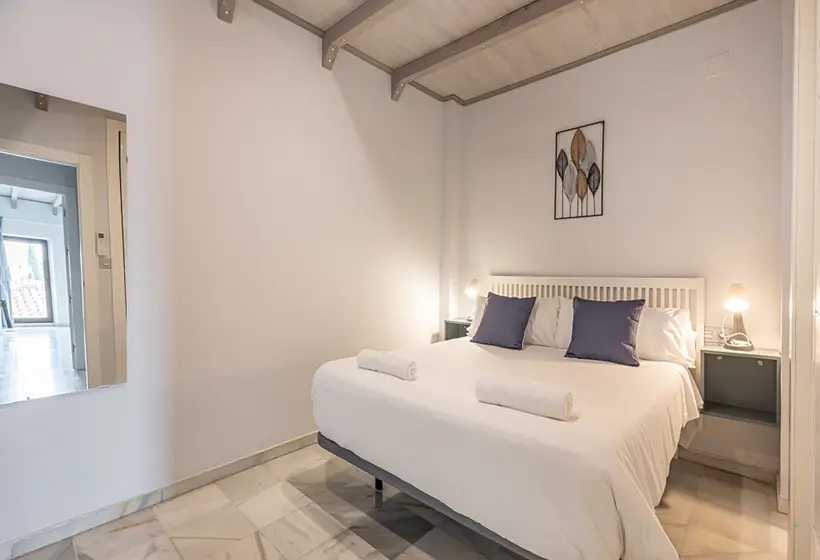 Apartamentos Realejo Granada Centro 3000