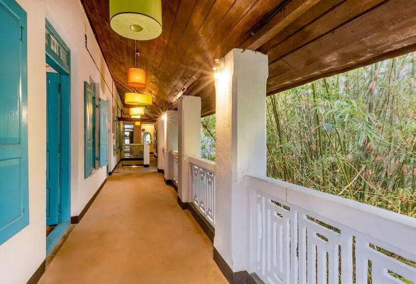 Gostops Allepey   Hostel