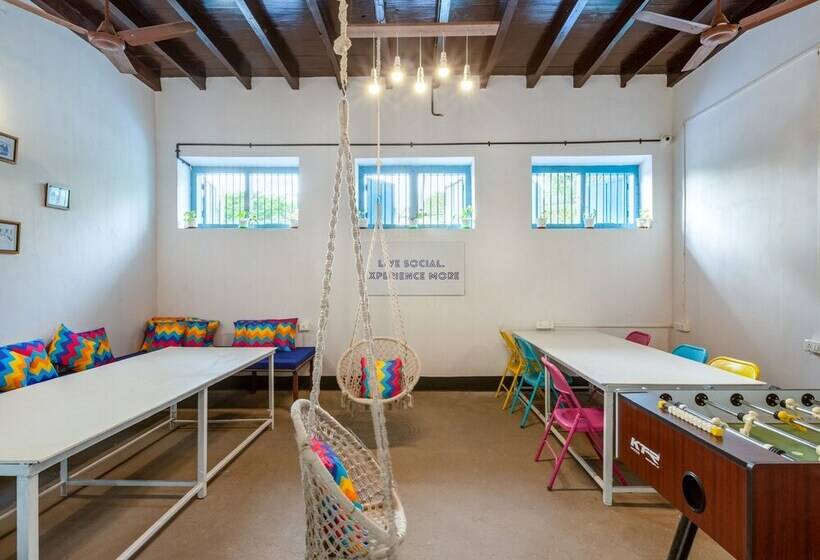 Gostops Allepey   Hostel