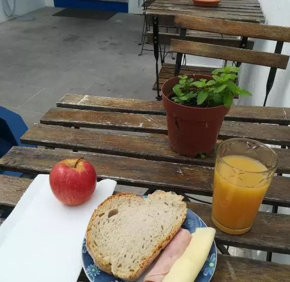 هاستل Old évora Guest House