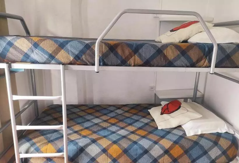 هاستل Old évora Guest House