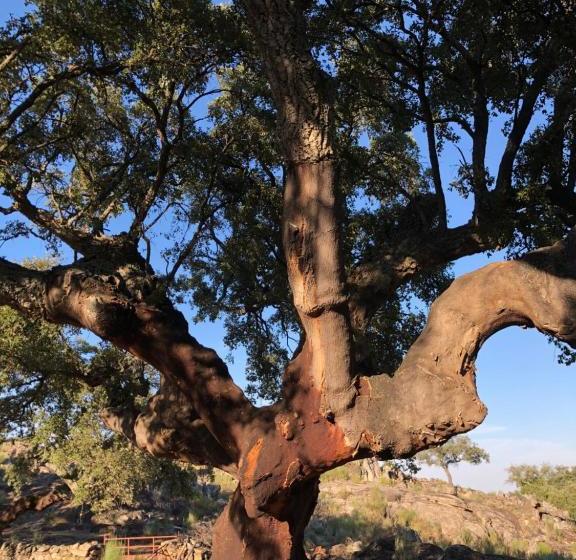 Apartamentos Rurales La Macera