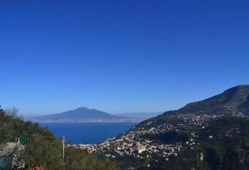 Bed And Breakfast Sunflower