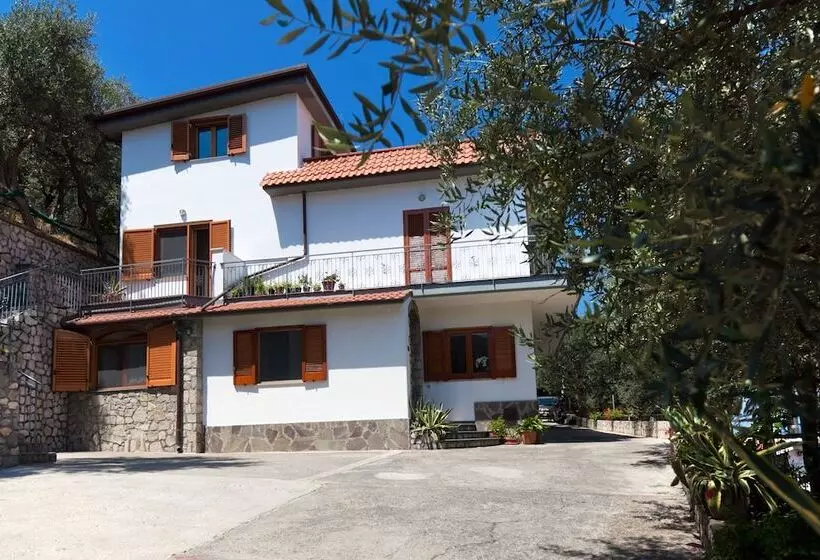 Bed And Breakfast Sunflower