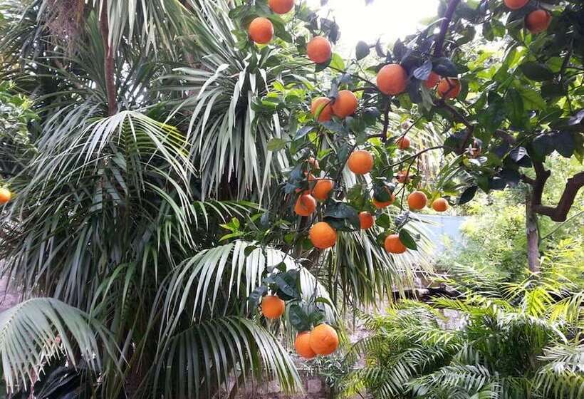 ベッドアンドブレックファースト Villa Pollio