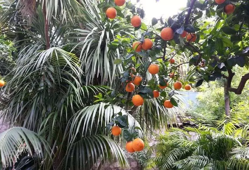 تختخواب و صبحانه Villa Pollio