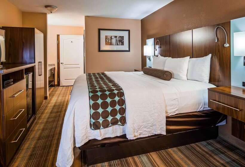 فندق Best Western Plus Gen X Inn