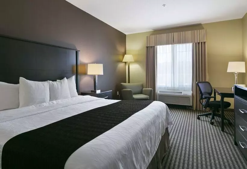 酒店 Best Western Plus Port Of Camaswashougal Convention Center