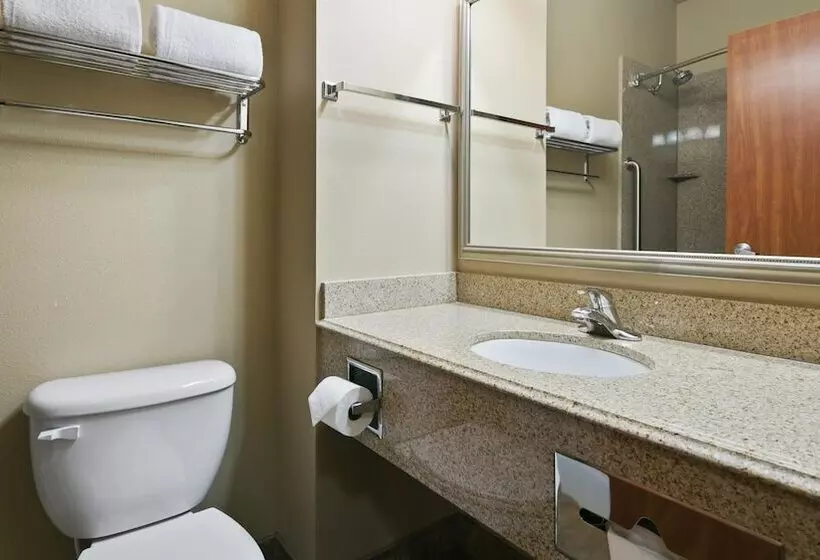 酒店 Best Western Plus Port Of Camaswashougal Convention Center