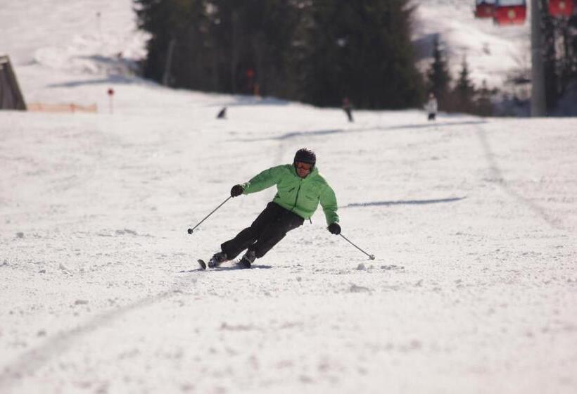 Отель Edelweiss