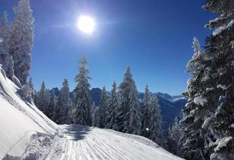 هتل Edelweiss