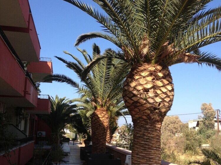 فندق Morning Star