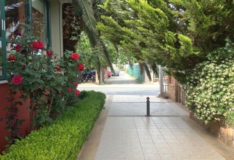 فندق Morning Star