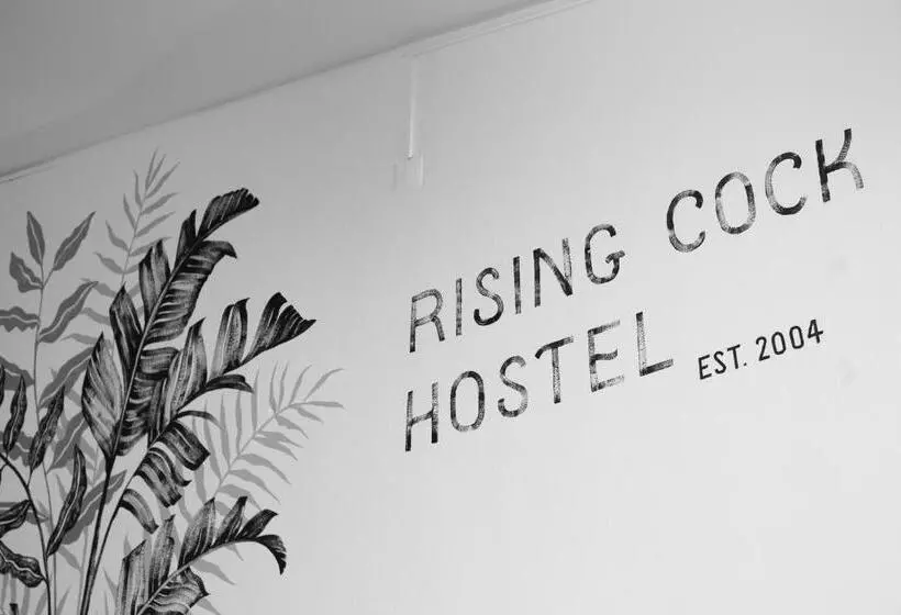هتل Rising Cock Party Hostel