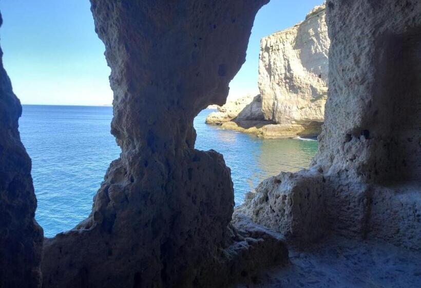 فندق Villa Welwitshia