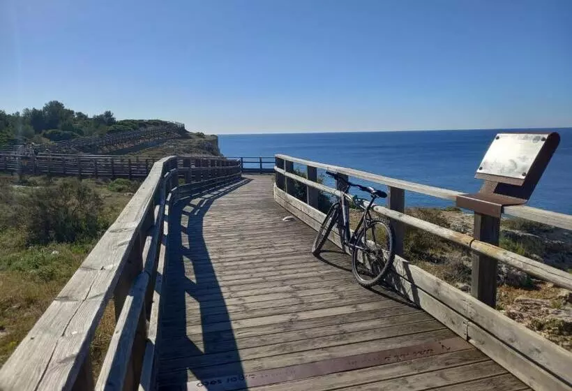 فندق Villa Welwitshia