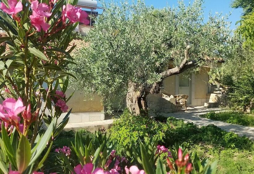 Neeton Noto Bed & Breakfast