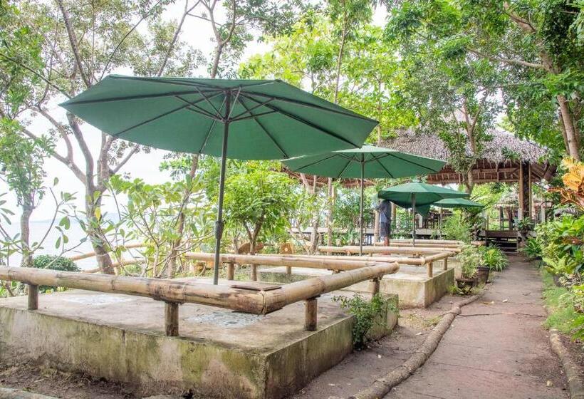 Almira Diving Resort  Panglao