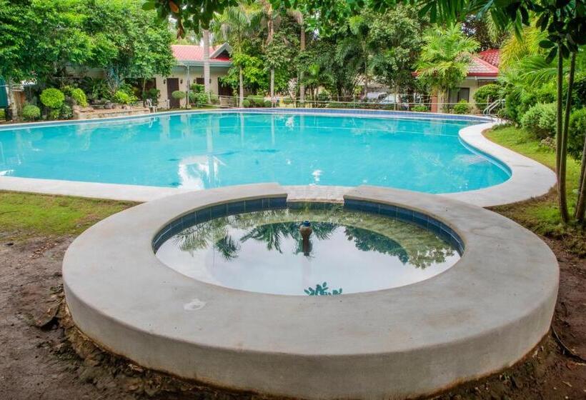 Almira Diving Resort  Panglao