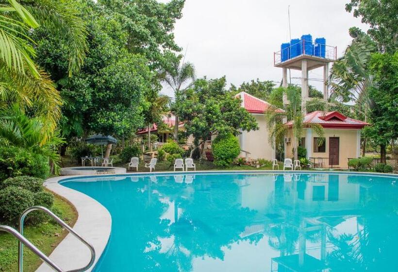 Almira Diving Resort  Panglao