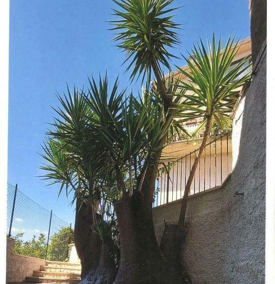 Bed and Breakfast Il Tronchetto